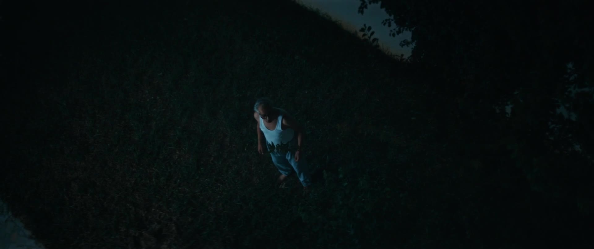 Vsude dobre doma nevim 2019 CZ titulky HD