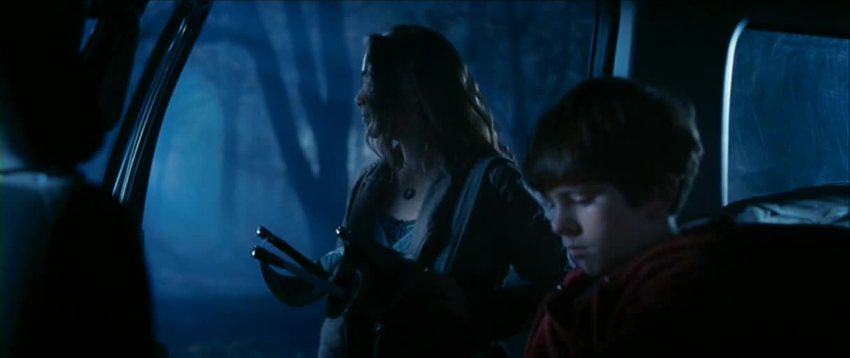 Kronika rodu Spiderwicku fantasy  2008  cz