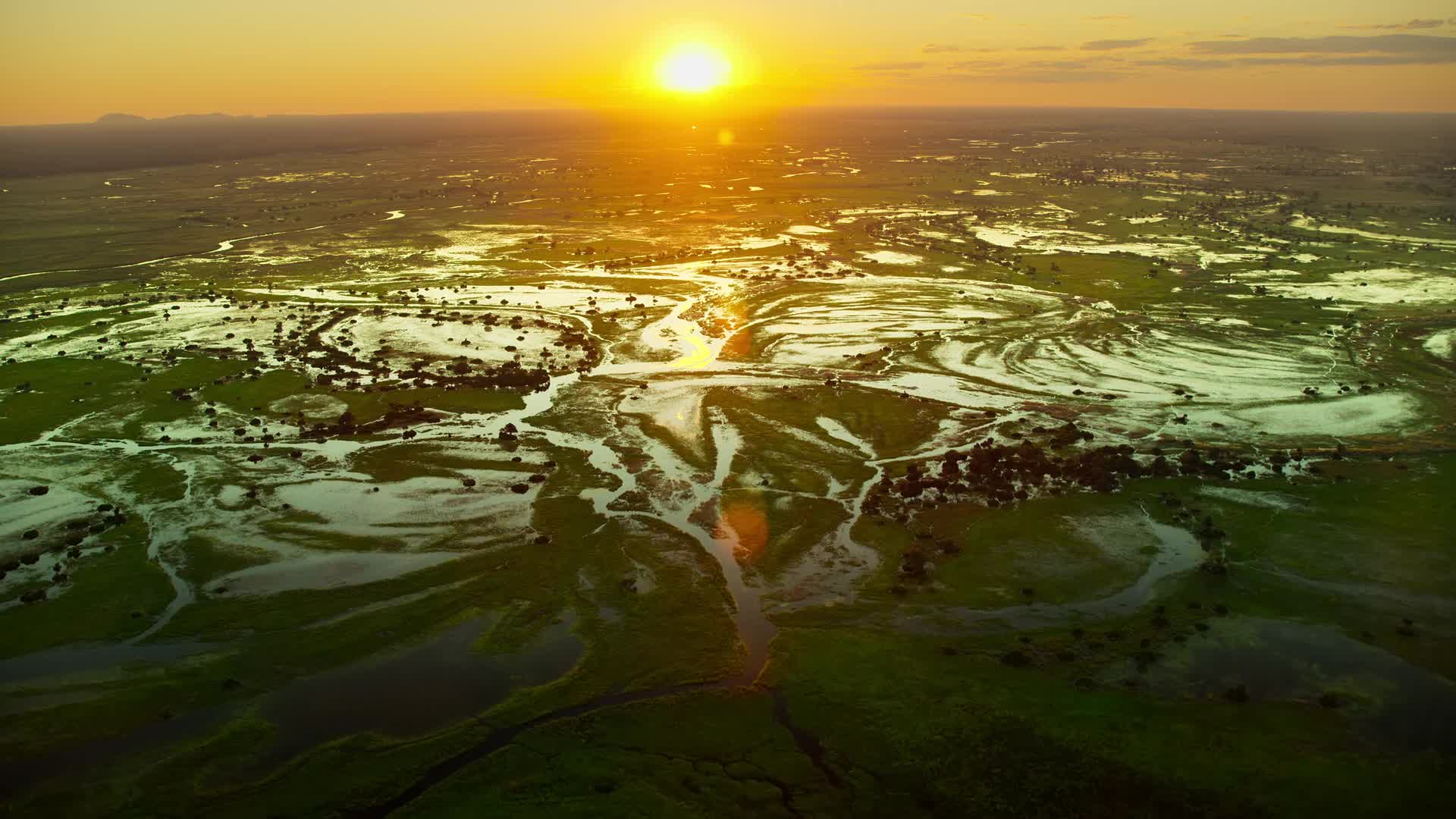 Delta Okavanga Kousek raje 2022 CZ dabing HD