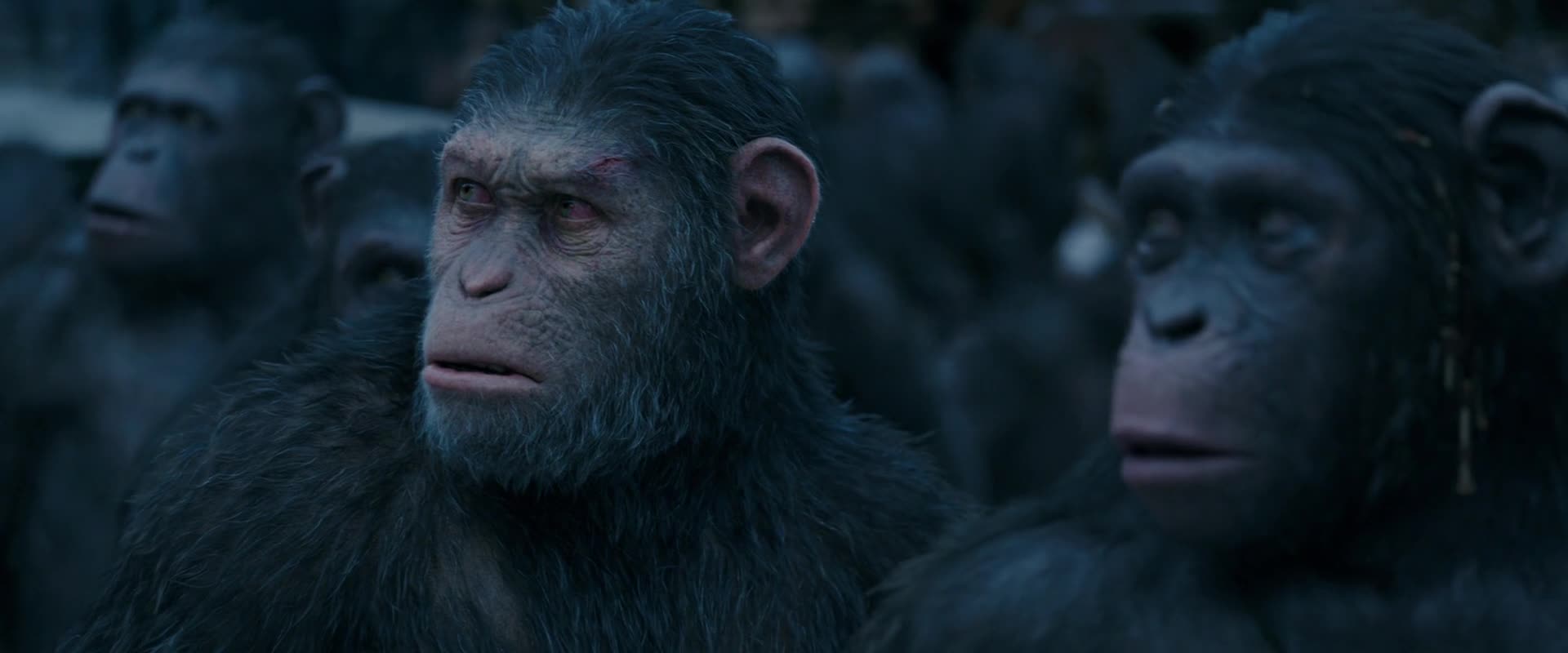 восстание планеты обезьян 2. когда выйдет новая планета обезьян. планета обезьян 2. планета обезьян 2.