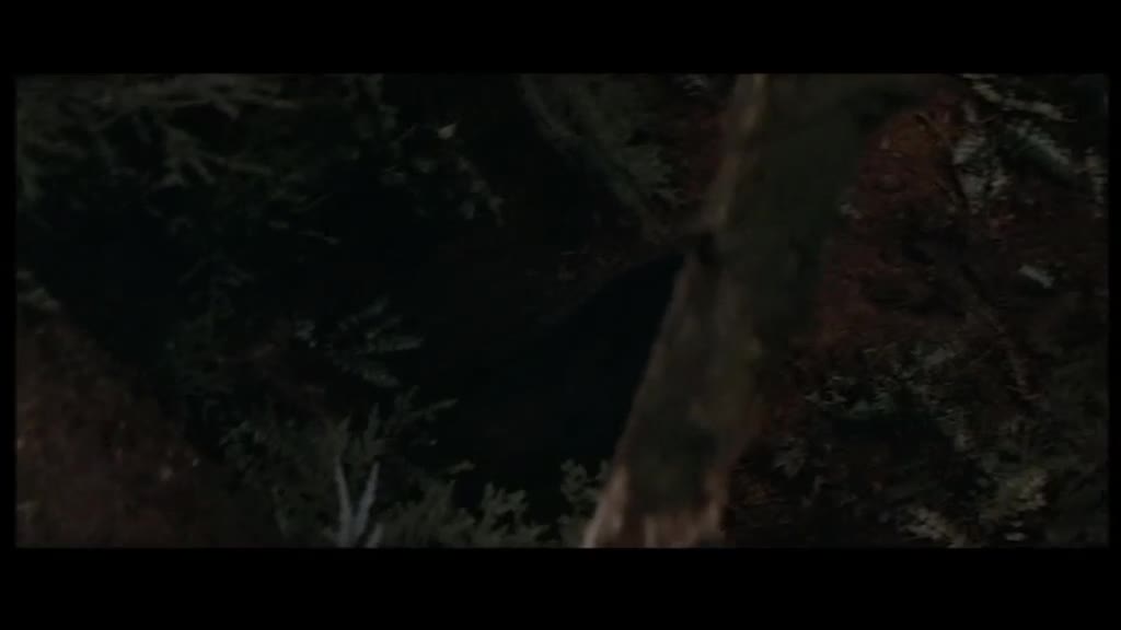 Rambo 1 Prvni krev 1982 CZ dabing