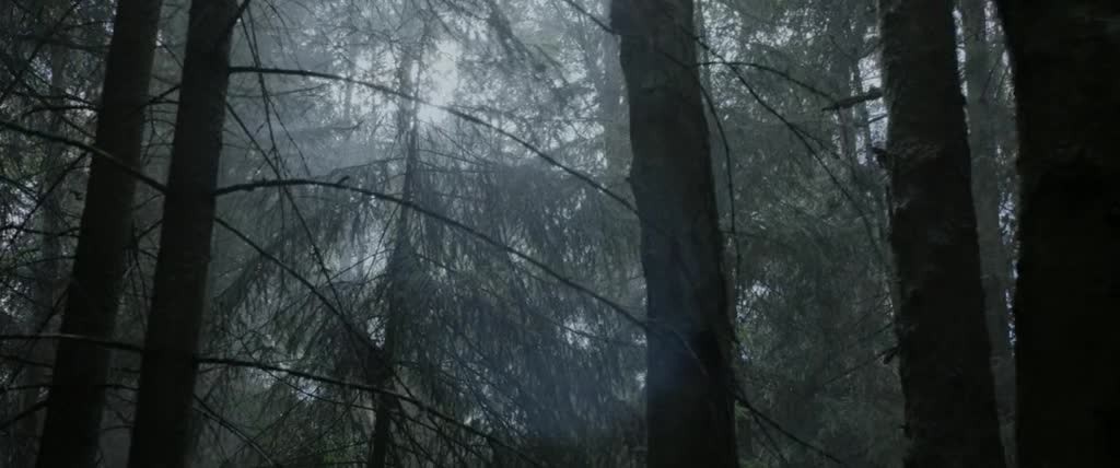 Neznamy vojak 2017 CZ titulky