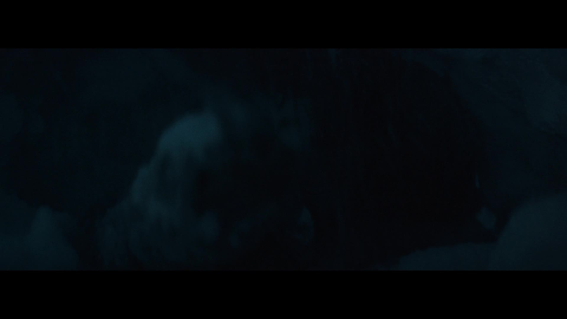 Sněžné bratrstvo 2023 CZ dabing HD