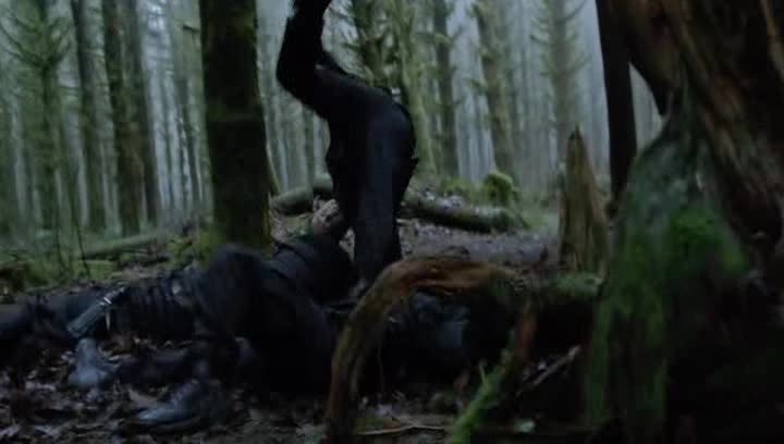 Arrow 02x00 Rok jedna