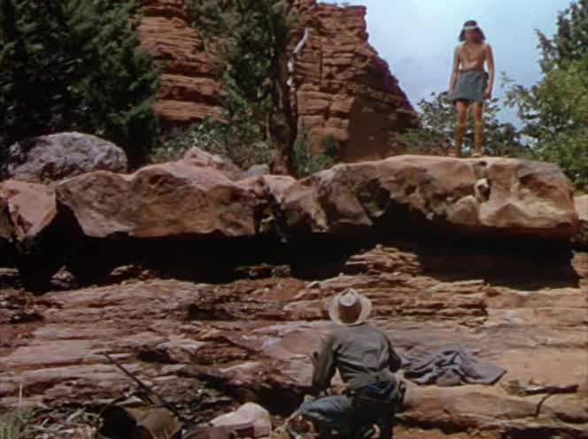 Zlomeny sip  1950 West DVD CZ