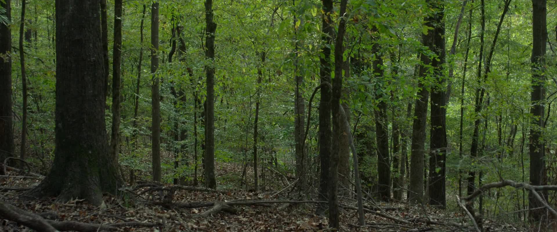 Stejne tak jiny jako ja 2017 CZ dabing HD