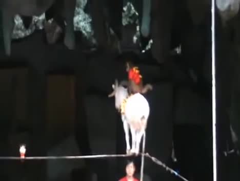 Rien de semblable au Monde Natacha et Tatiana