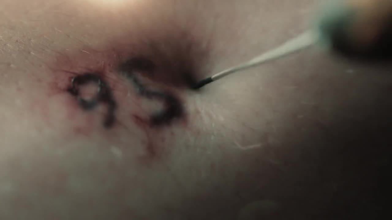 The Tattooist of Auschwitz S01E02 2024 CZ titulky HD
