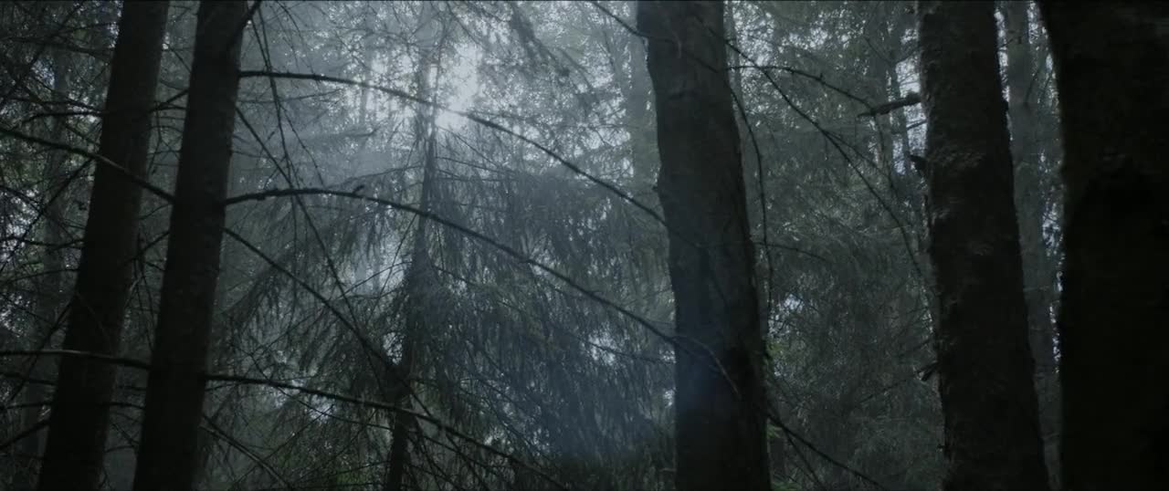 Neznamy vojak Tuntematon sotilas 2017 titulky CZ 720p HD