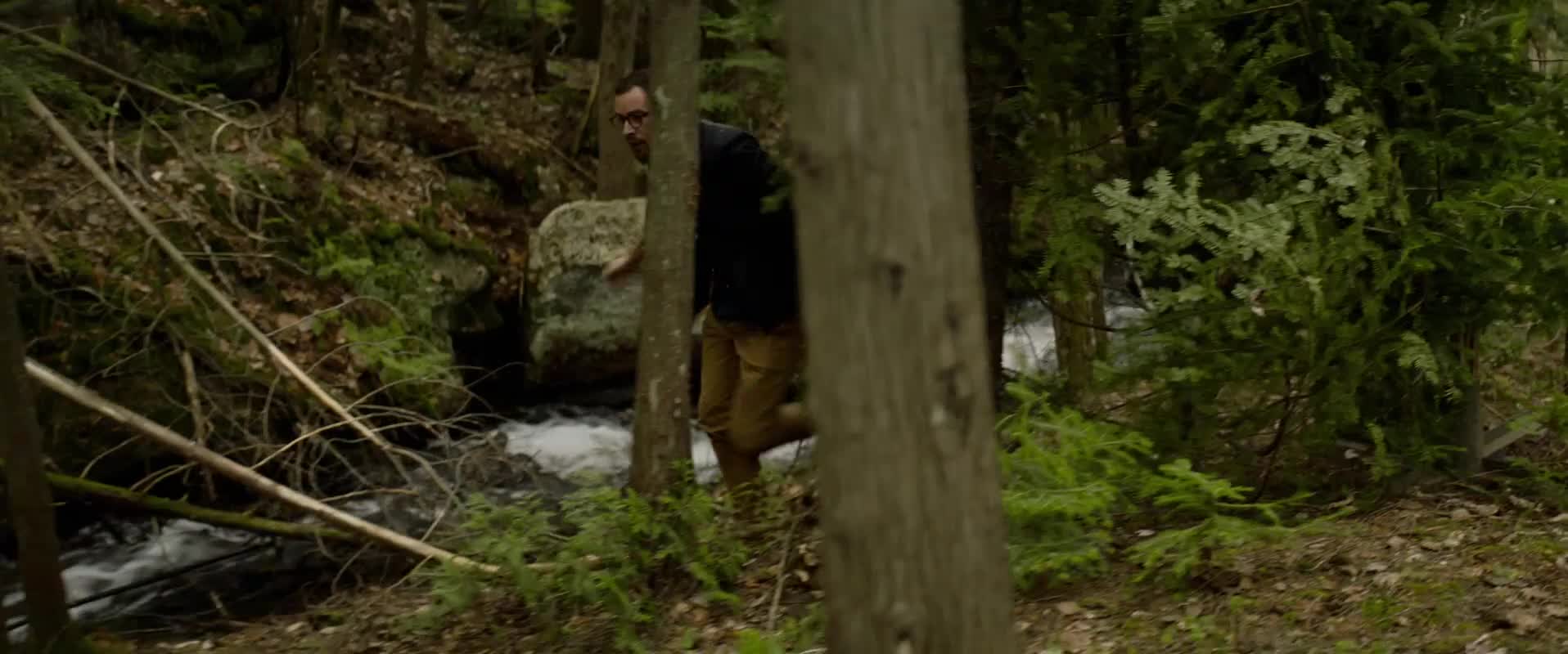 Vlk a lev Necekane pratelstvi 2021 dobrodruzny CZ dabing HD