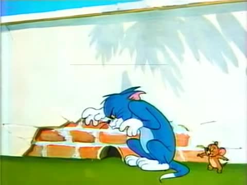 Tom a Jerry   Psí škola života ČST