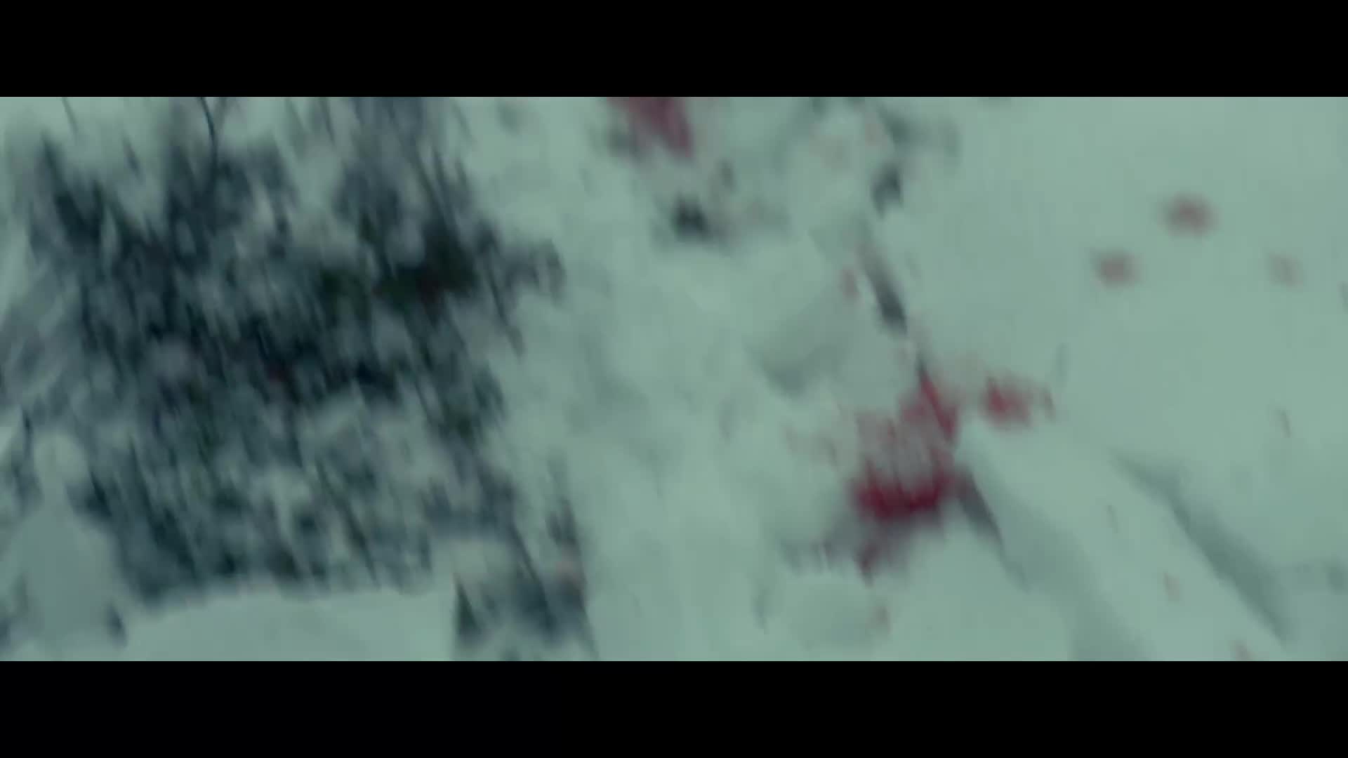 Dvanacty muz  2017  CZ dabing HD