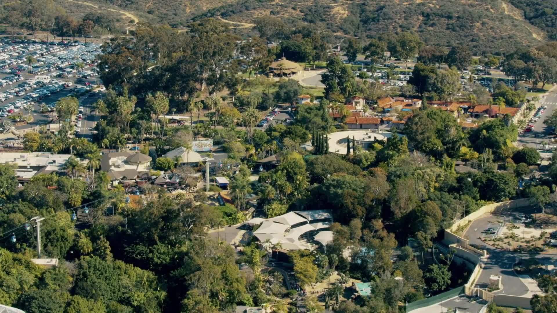 Fantastic Beasts A Natural History 2022 CZ titulky HD